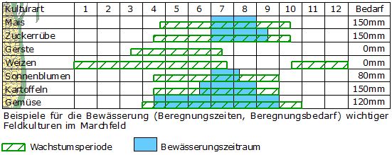 Beispiel für die Bewässerung wichtiger Feldkulturen im Marchfeld. Beispiel für die Bewässerung wichtiger Feldkulturen im Marchfeld.
