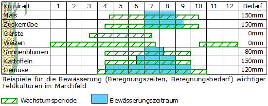 Beispiel für die Bewässerung wichtiger Feldkulturen im Marchfeld.